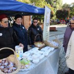 fot. Wojciech Piepiorka