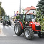 fot. Stanisław Kamiński