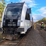 Fot. Wojciech Piepiorka