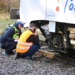 Fot. Wojciech Piepiorka