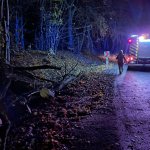 fot. Stanisław Kamiński