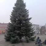 fot. Klaudia Cieplińska-Bednarek