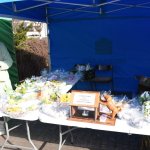 fot. Stanisław Kamiński