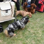 fot. Stanisław Kamiński