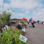 fot. Bartek Zakrzewski/Weekend FM