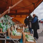 fot. Bartek Zakrzewski/Weekend FM